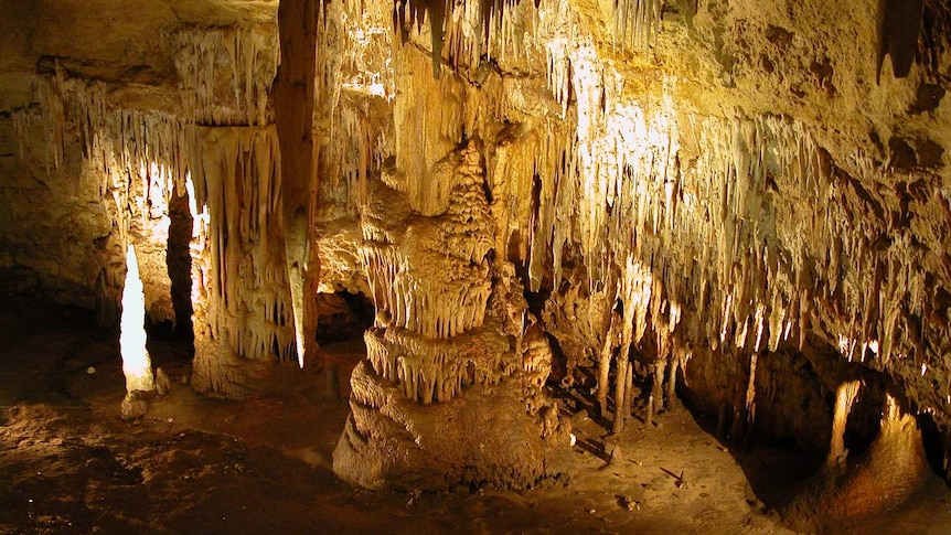 Naracoorte Caves South Australia: Discover the Unique Underground World