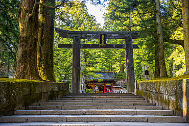 Nikko Toshogu Shrine Tochigi Prefecture: Japan's Iconic Cultural Heritage