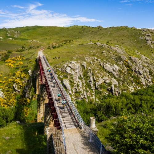 Otago Rail Trail: Explore New Zealand's Scenic and Historic Railway Adventure