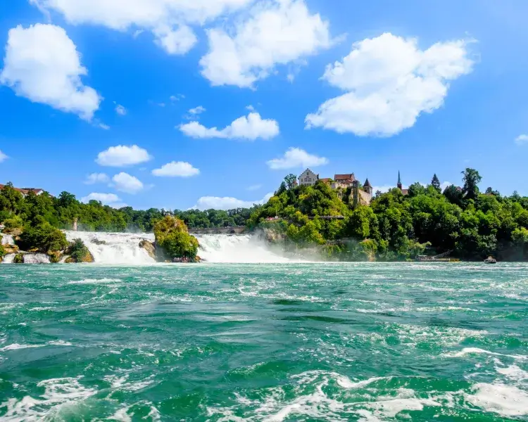 Rhine Falls Schaffhausen: Discover Switzerland's Majestic Waterfall Experience