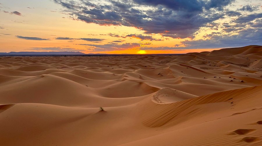 Sahara Desert Erg Chebbi: Ultimate Guide to Morocco's Iconic Dunes