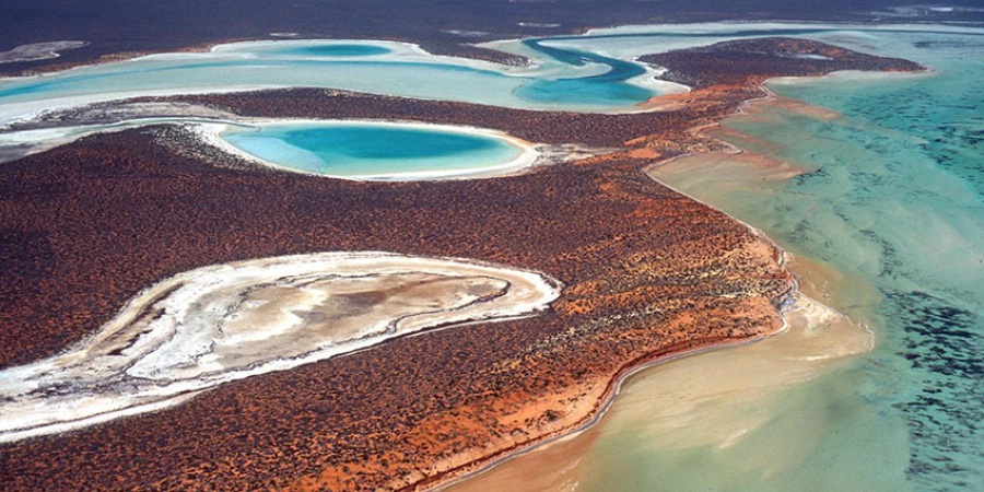Shark Bay Western Australia: Discover the Unique Natural Wonder of the Indian Ocean Coast