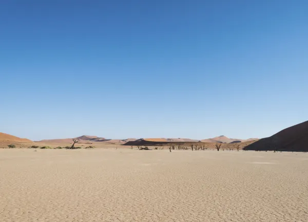 Sossusvlei Clay Pan in the Namib Desert: Stunning Landscapes and Unique Desert Features