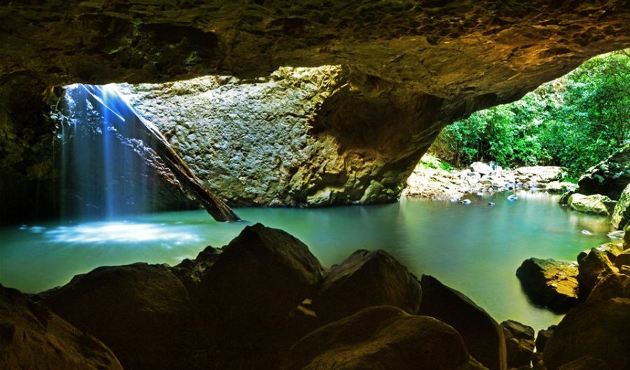 Springbrook National Park Queensland: Discover the Natural Beauty of Australia