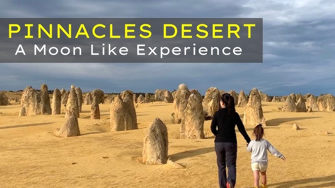 The Pinnacles Desert Western Australia: Discover the Unique Natural Wonder