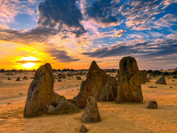 The Pinnacles Desert Western Australia: Discover the Unique Natural Wonder