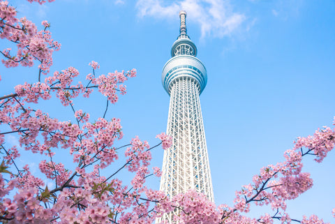 Tokyo Skytree: Japan's Iconic Modern Landmark and Architectural Marvel