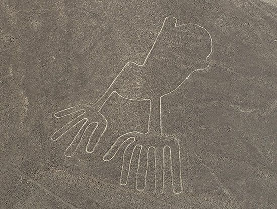 Unlocking the Hidden Secrets of the Nazca Lines: Ancient Mysteries Revealed