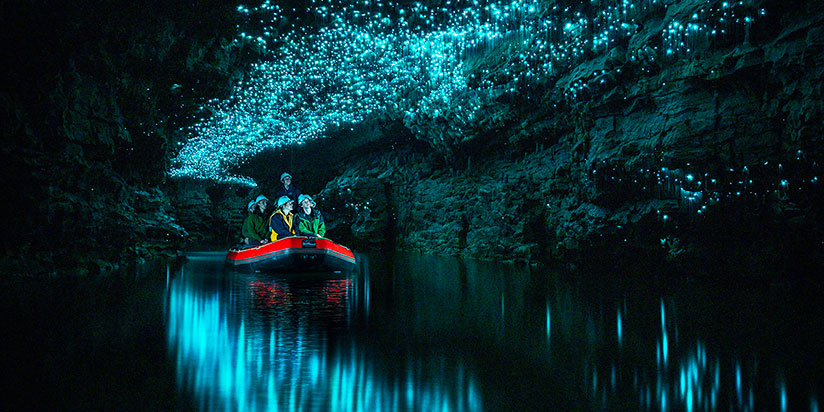 Waitomo Glowworm Caves Waikato Region: Discover New Zealand's Magical Underground Adventure