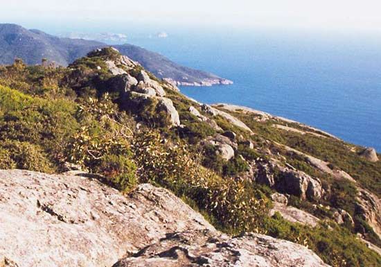 Wilson's Promontory Victoria: Discover Nature's Paradise in Australia