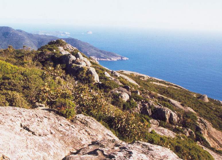 Wilson's Promontory Victoria: Discover Nature's Paradise in Australia