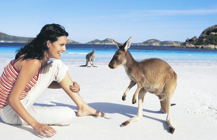 Wineglass Bay Tasmania: Discover the Stunning Coastal Beauty of Tasmania