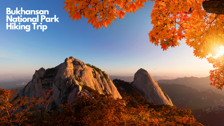 Bukhansan National Park Seoul: Top Hiking Trails and Natural Beauty