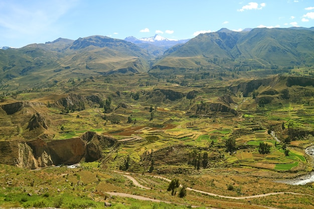 Colca Canyon Arequipa Region: Discover the Deepest and Most Scenic Canyon