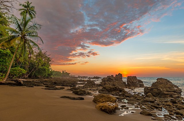 Corcovado National Park Osa Peninsula: Ultimate Guide to Costa Rica's Wildlife and Nature