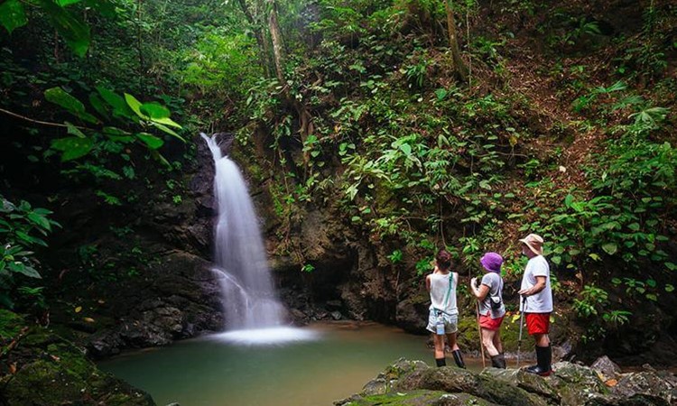 Corcovado National Park Osa Peninsula: Ultimate Guide to Costa Rica's Wildlife and Nature