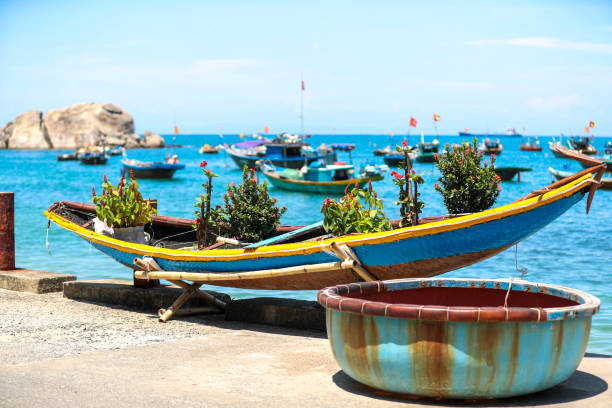 پارک دریایی کو لاؤ چام، بهشتی زیر آب در ویتنام