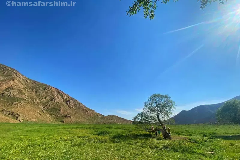 Discover the Idyllic Carrot Plain: A Hidden Urban Nature Escape