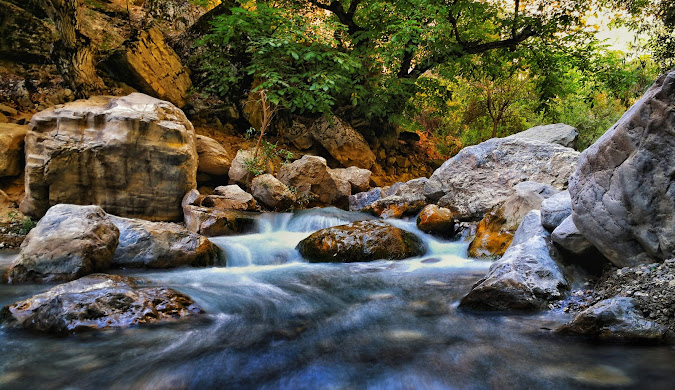 Explore Ardabil: Your Essential Journey to Iran's Enchanting Honey City