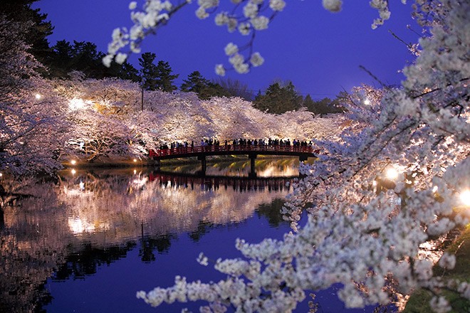 Hirosaki Cherry Blossom Festival Aomori Prefecture