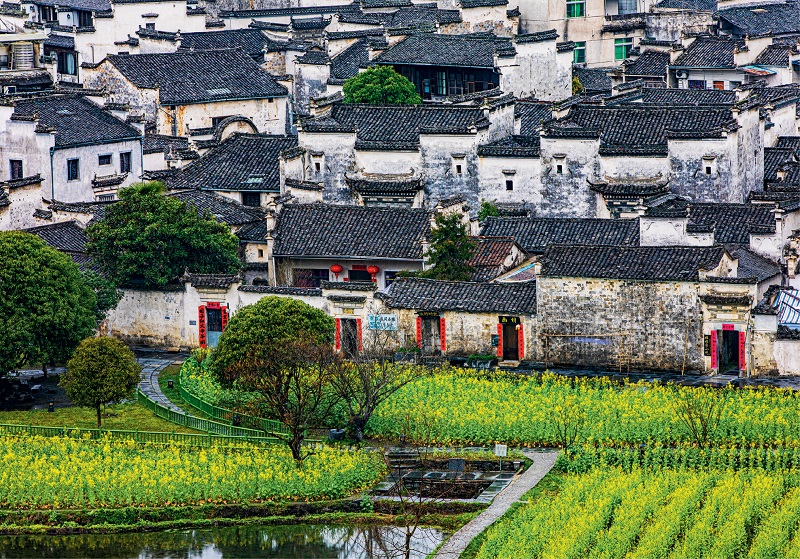 Hongcun Ancient Village in Anhui Province: Discover the Charm of This Historic Chinese Village