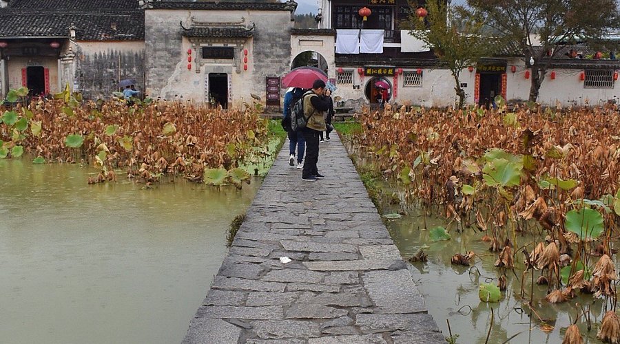 Hongcun Ancient Village in Anhui Province: Discover the Charm of This Historic Chinese Village