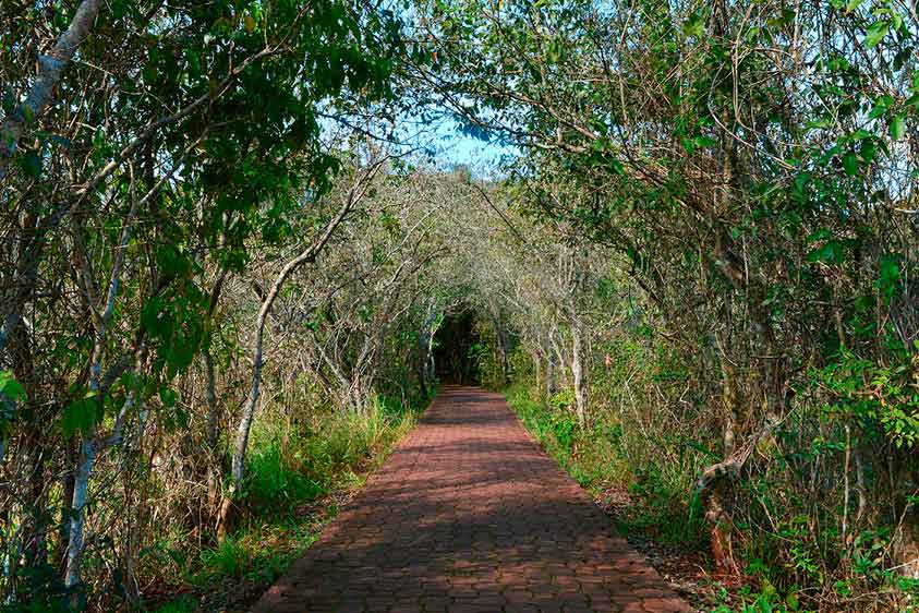 Iguazú Falls National Park: Discover the Beauty of Misiones Province