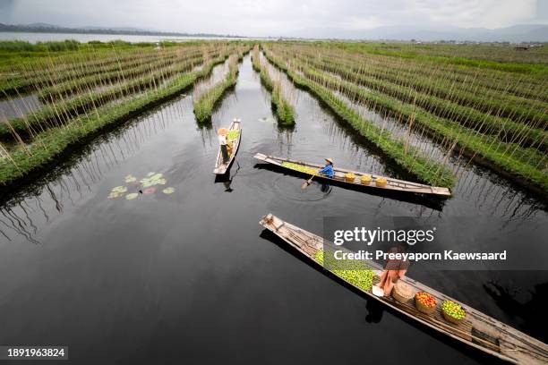 Inle Lake Floating Gardens Shan State: Discover Myanmar's Unique Water Garden Experience