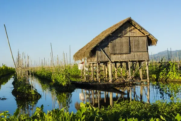 Inle Lake Floating Gardens Shan State: Discover Myanmar's Unique Water Garden Experience
