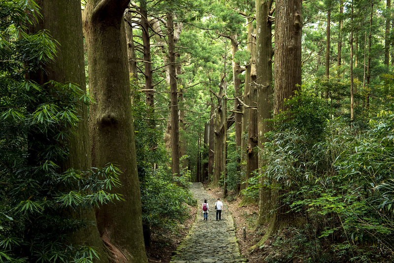 Kumano Kodo Pilgrimage Routes in Wakayama Prefecture: Ultimate Guide