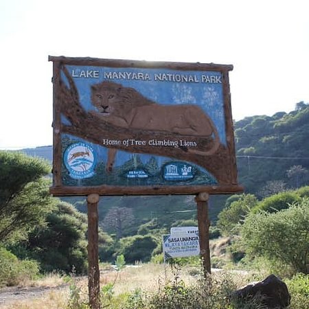 Lake Manyara Tree-Climbing Lions Safari in Arusha Region