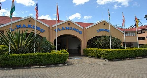 Lake Nakuru Flamingos: Discover the Stunning Nakuru County Wildlife
