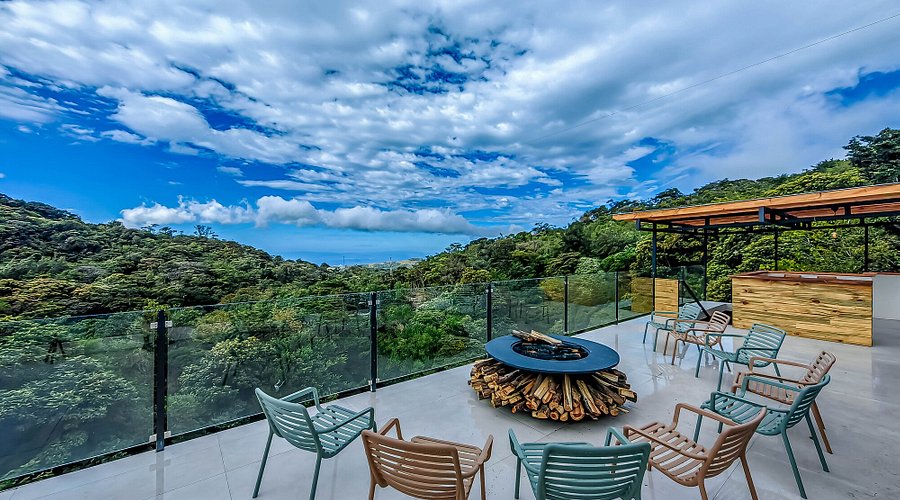 Monteverde Cloud Forest in Puntarenas Province: Discover Costa Rica's Green Paradise