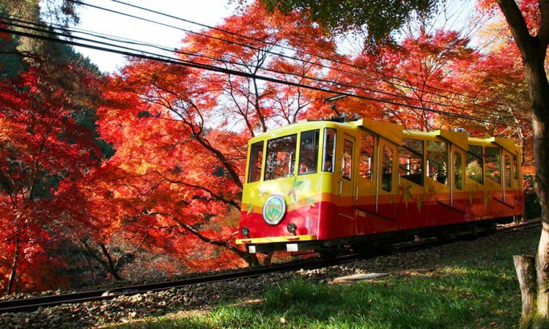Mount Takao Tokyo: Discover Nature and Culture Near Tokyo