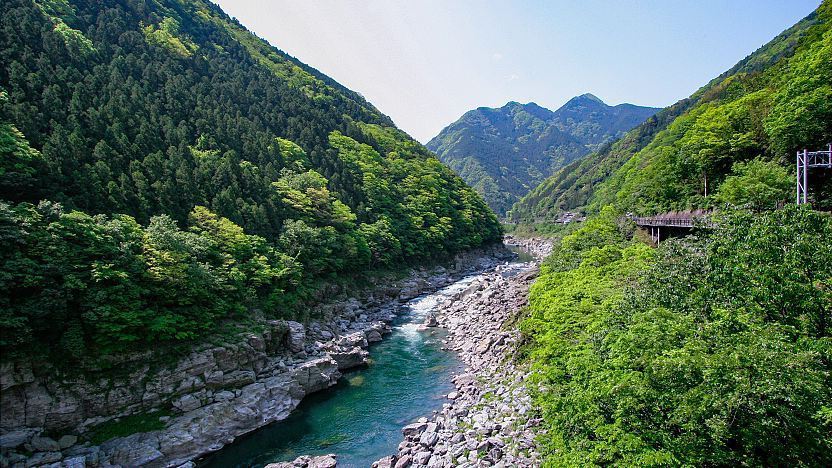 Oboke Gorge in Tokushima Prefecture