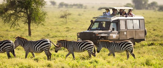 Ruaha National Park Tanzania - Explore the Wilds of Iringa Region