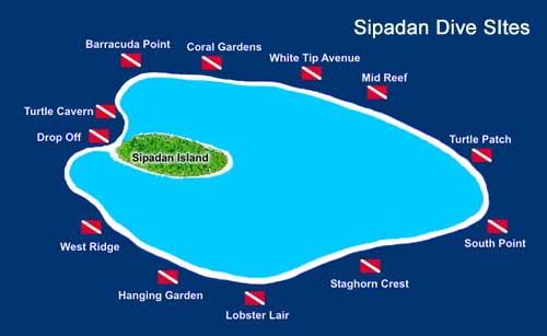 Sipadan Island Diving Sabah: Top Destination for Unforgettable Underwater Adventures