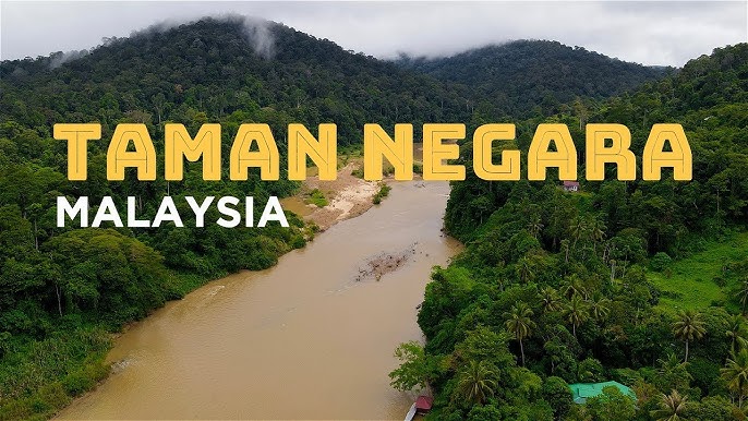 Taman Negara National Park Pahang: Ultimate Guide to Malaysia's Iconic Wilderness