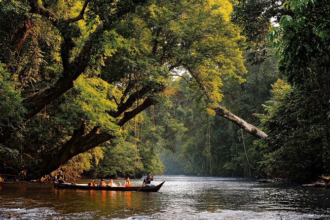 Taman Negara National Park Pahang: Ultimate Guide to Malaysia's Iconic Wilderness