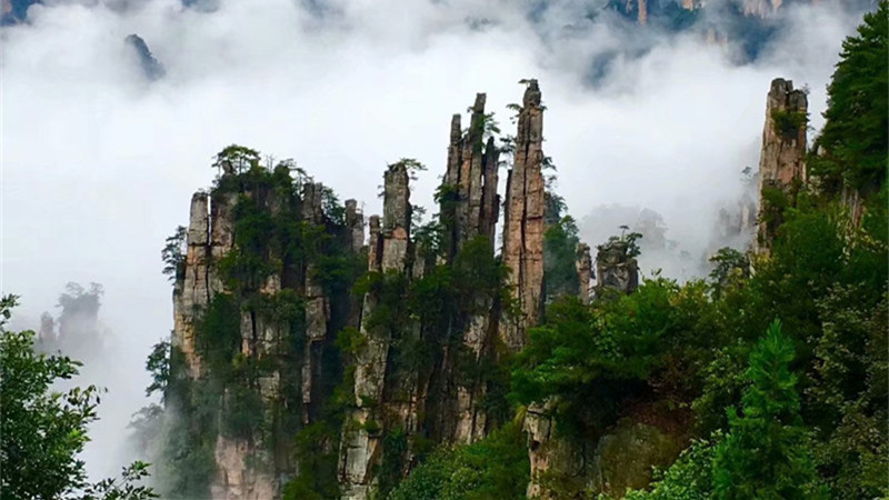 Wulingyuan Scenic Area in Hunan Province: Discover China's Natural Wonder