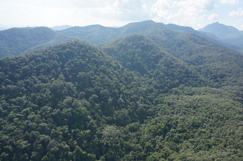 Xishuangbanna Rainforest: Discover Yunnan Province's Tropical Paradise