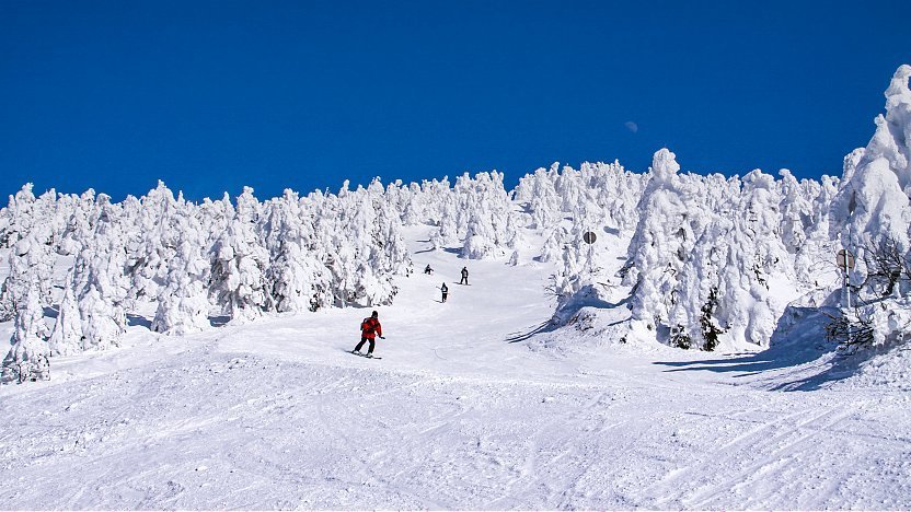 Zao Onsen Ski Resort Yamagata Prefecture: Ultimate Winter Experience in Japan